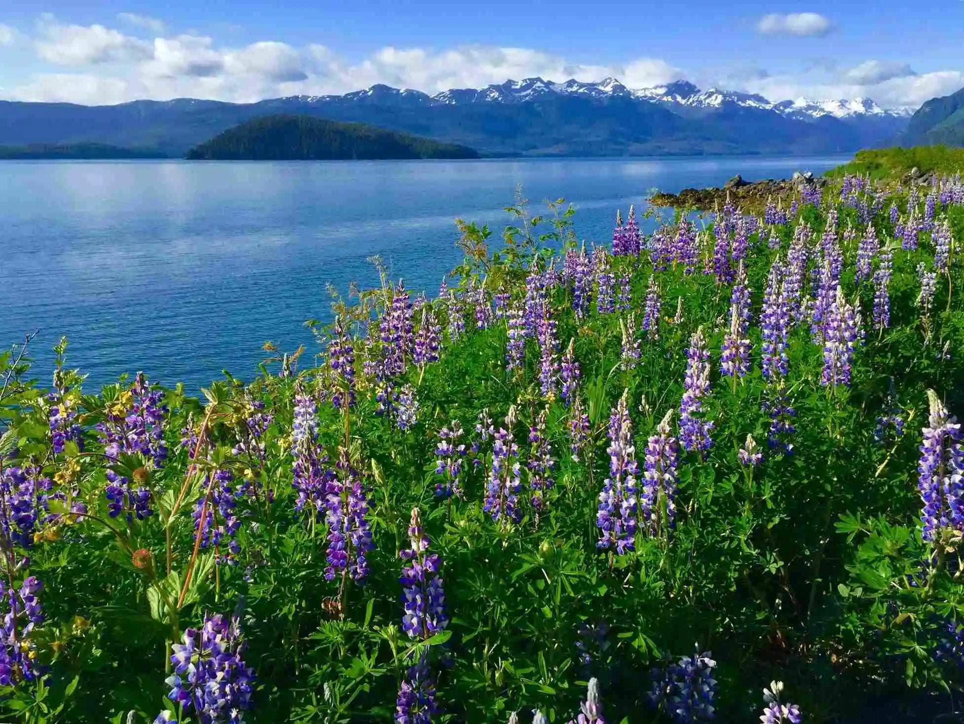 Planning a Trip to Cordova, Alaska