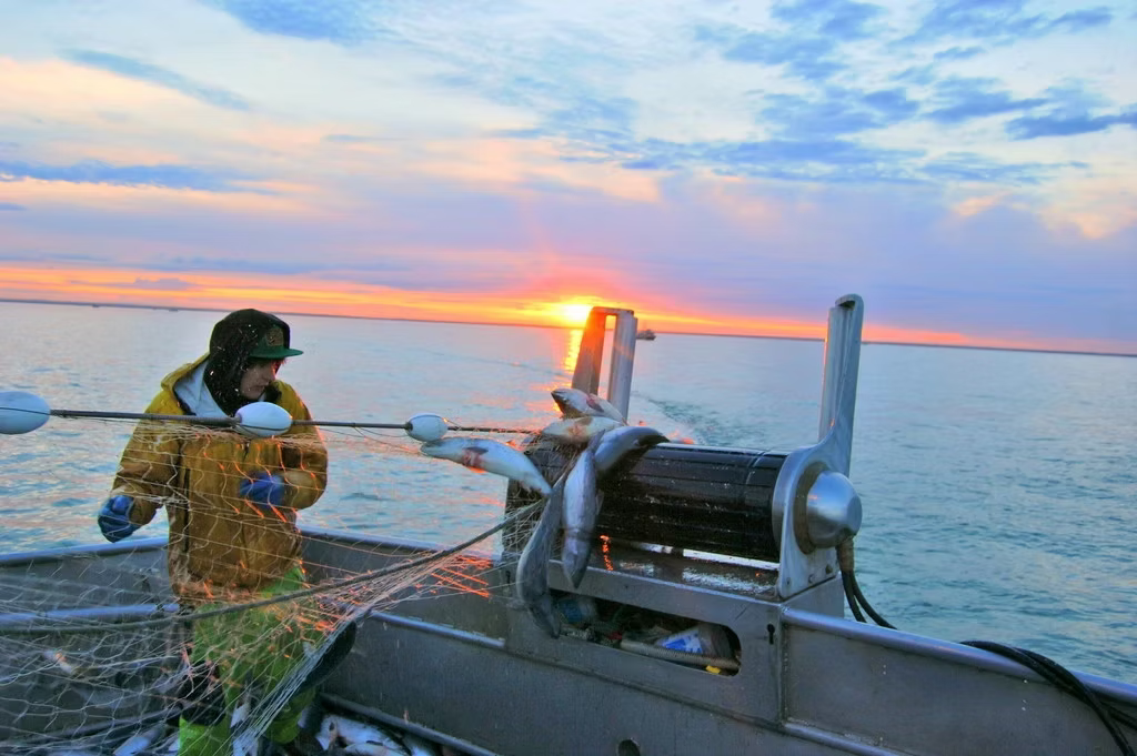 How Alaska Fresh Seafood is addressing climate change