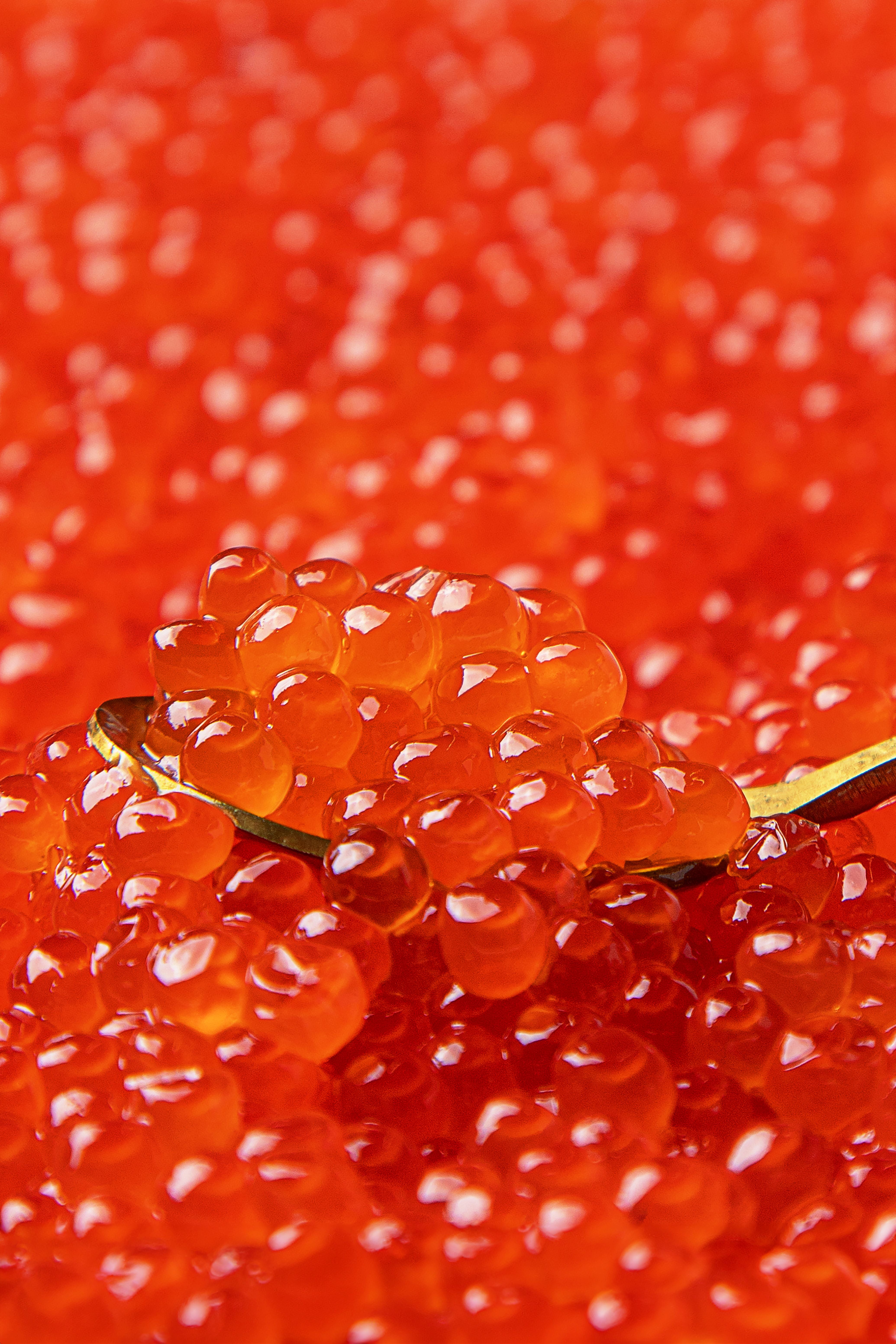 PREORDER & SAVE - Wild Pink Salmon Ikura Red Caviar (Gorbuscha Kaviar)