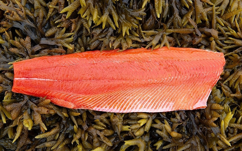 FIRST CATCH of 2026 - Exclusive Fresh Copper River Sockeye Salmon Fillets