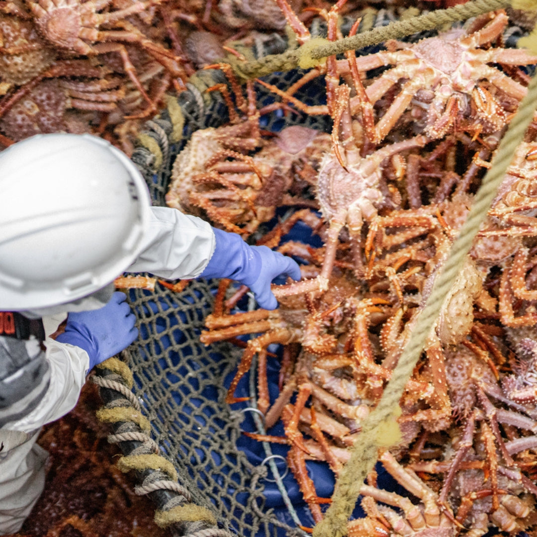 Alaska Gold King Crab - Jumbo Legs & Claws
