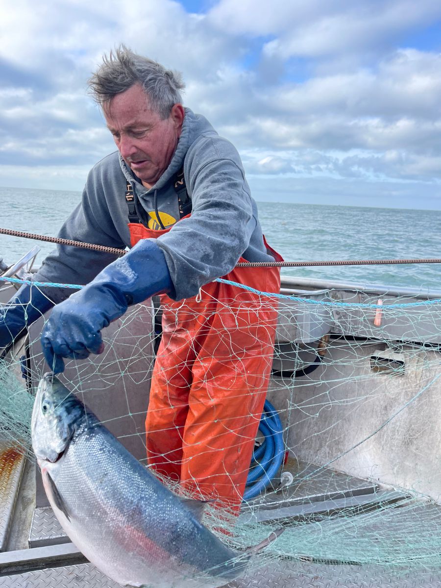 FIRST CATCH of 2026 - Exclusive Fresh Copper River Sockeye Salmon Fillets