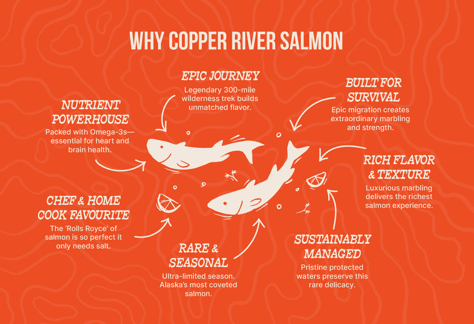 Infographic about why Copper River Salmon is the premium wild caught salmon from Alaska