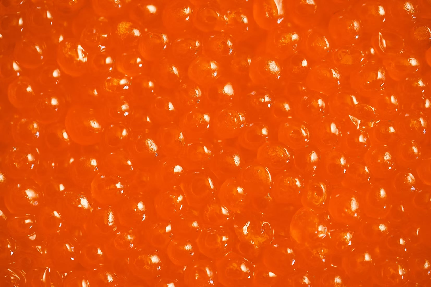 Wholesale Wild Keta Salmon Ikura Red Caviar (250g)