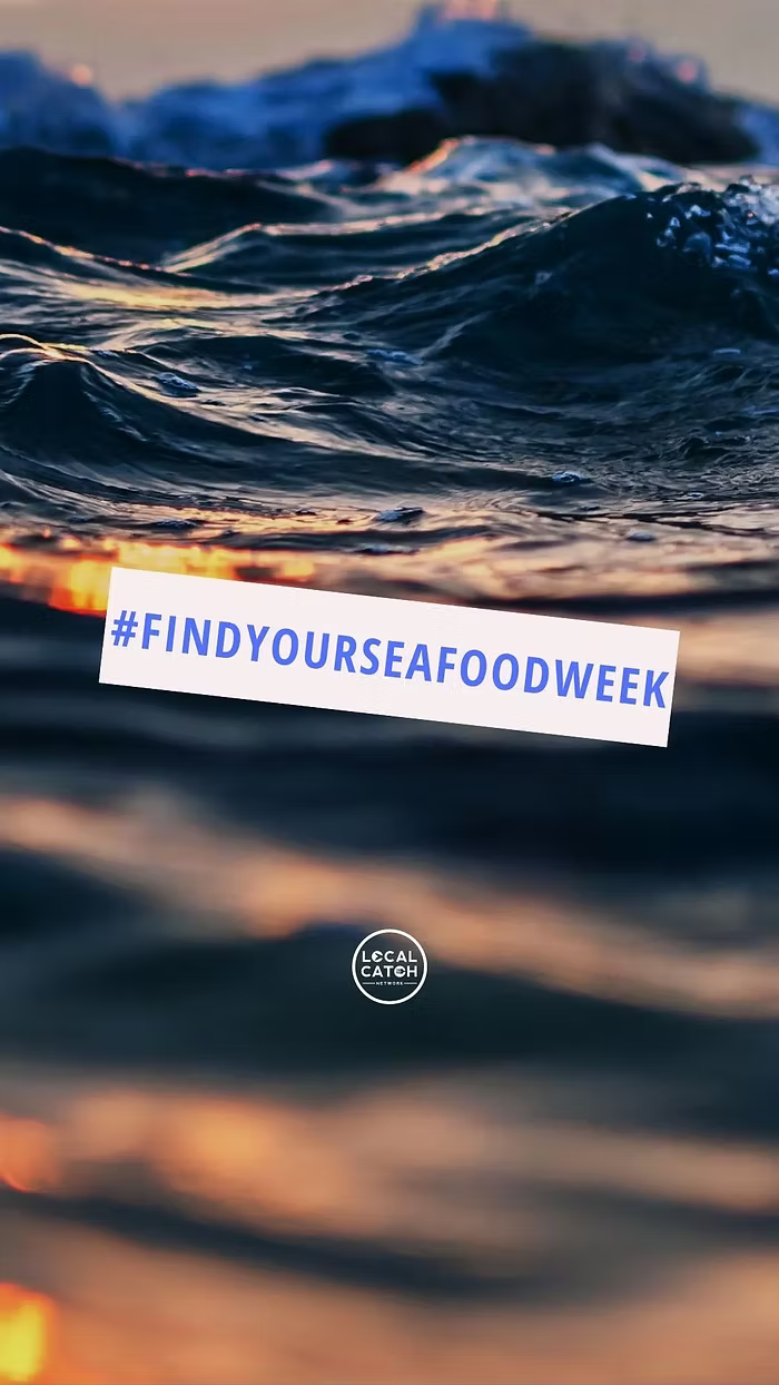 It's Find Your Seafood week!
