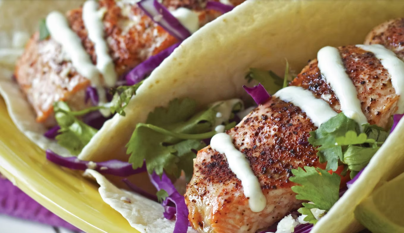 Salmon tacos drizzled with white sauce atop cilantro and red cabbage