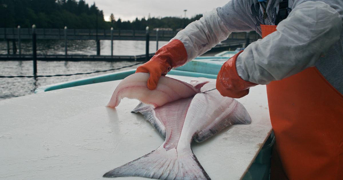 Full Fillet - Wild Alaskan Halibut
