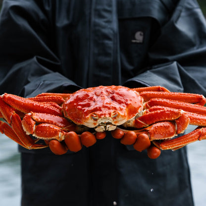 Fresh wild-caught Alaskan Bairdi snow crab.