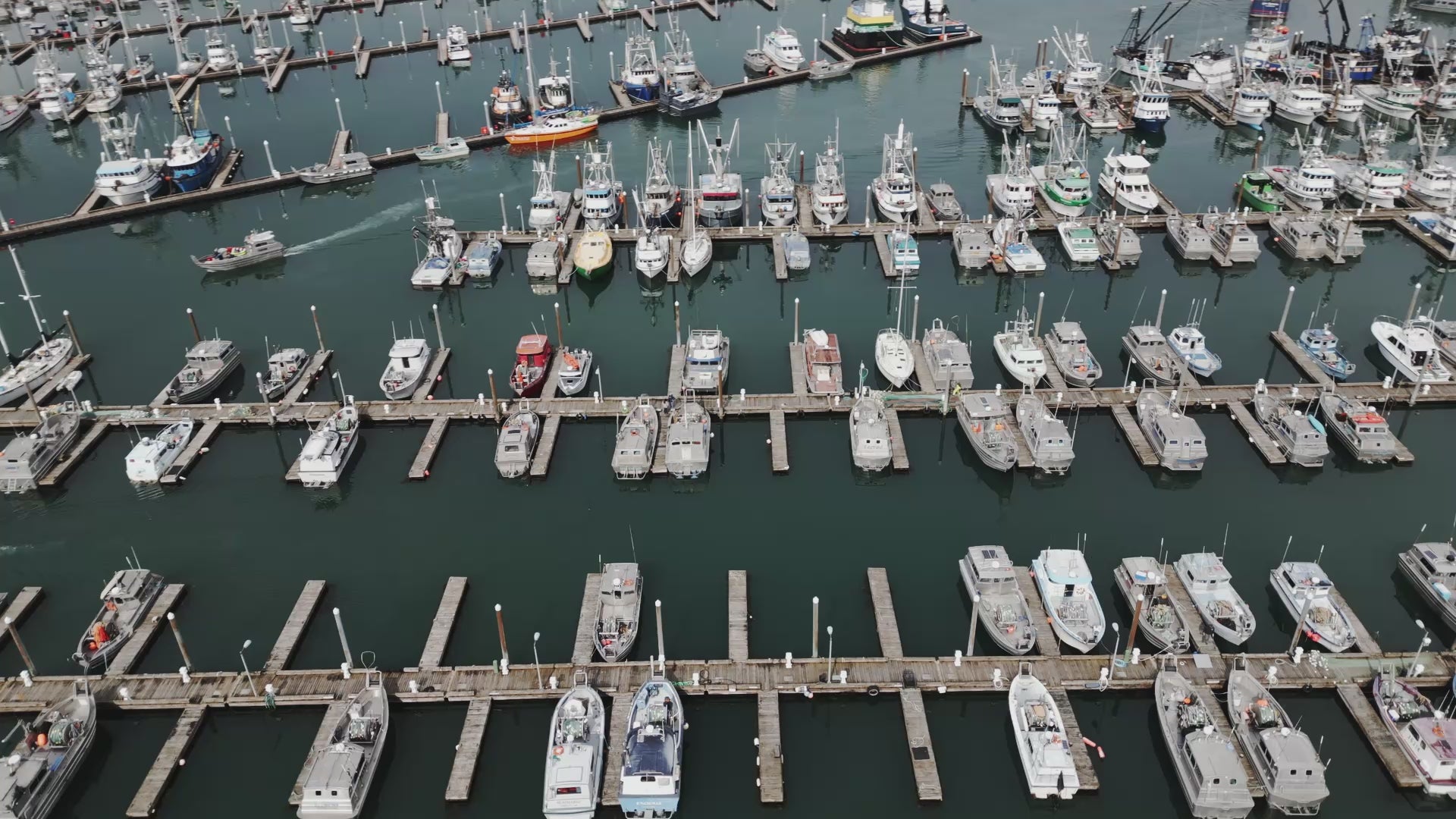 Load video: Meet Alaska Fresh Seafood