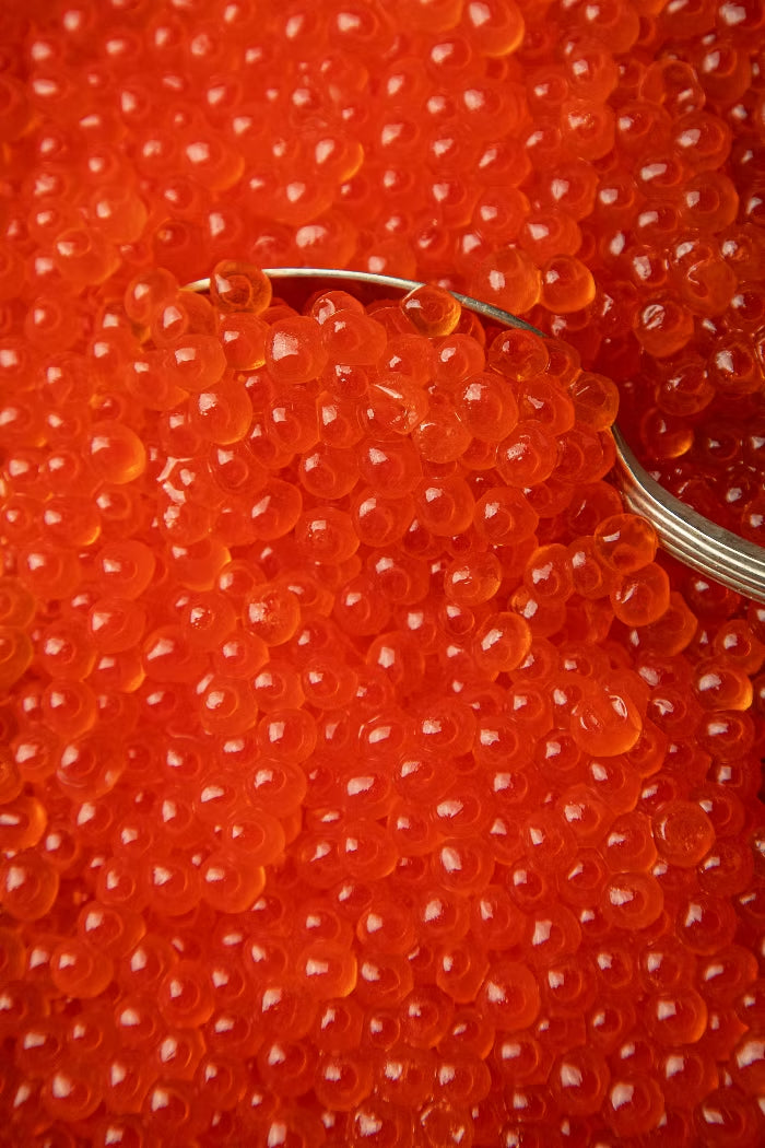 Wholesale Wild Keta Salmon Ikura Red Caviar (250g)